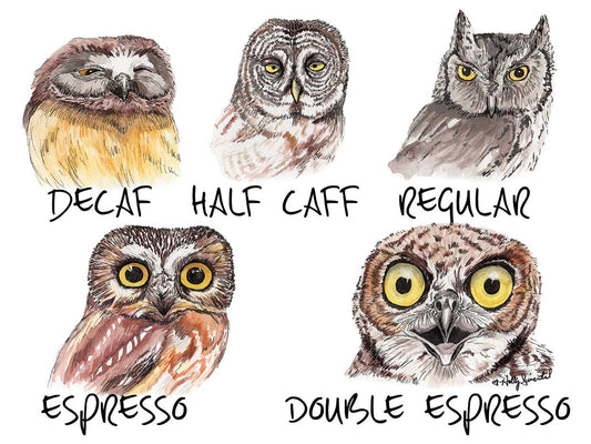 Owl Caffeine Meter