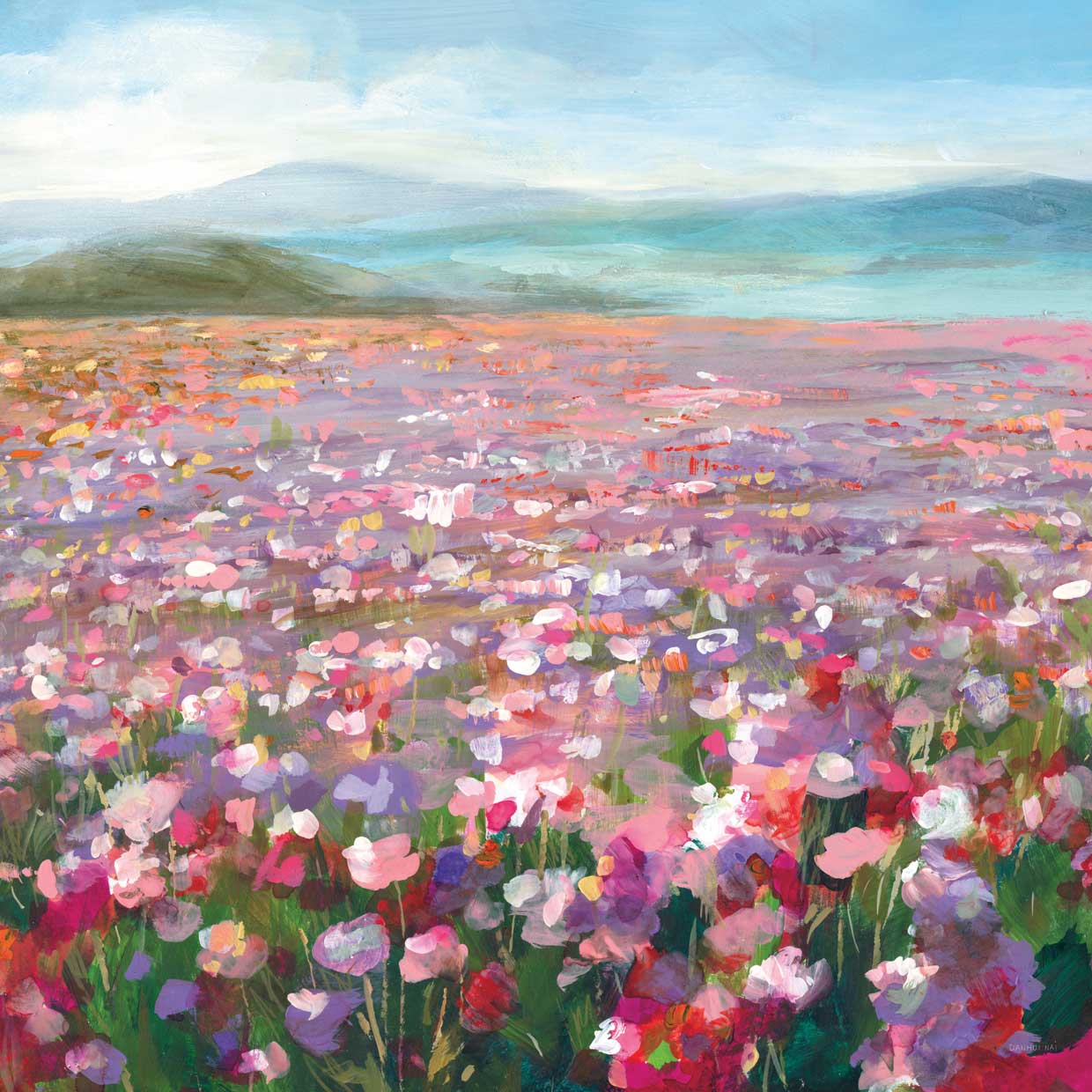 Headland Wildflowers