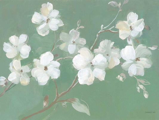 Blossoms on Sage Canvas Print