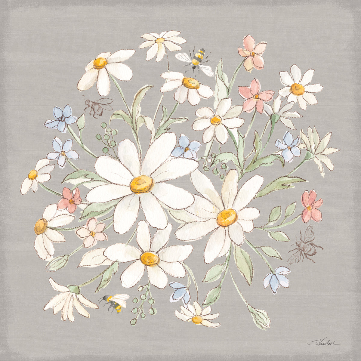 Daisy Field V