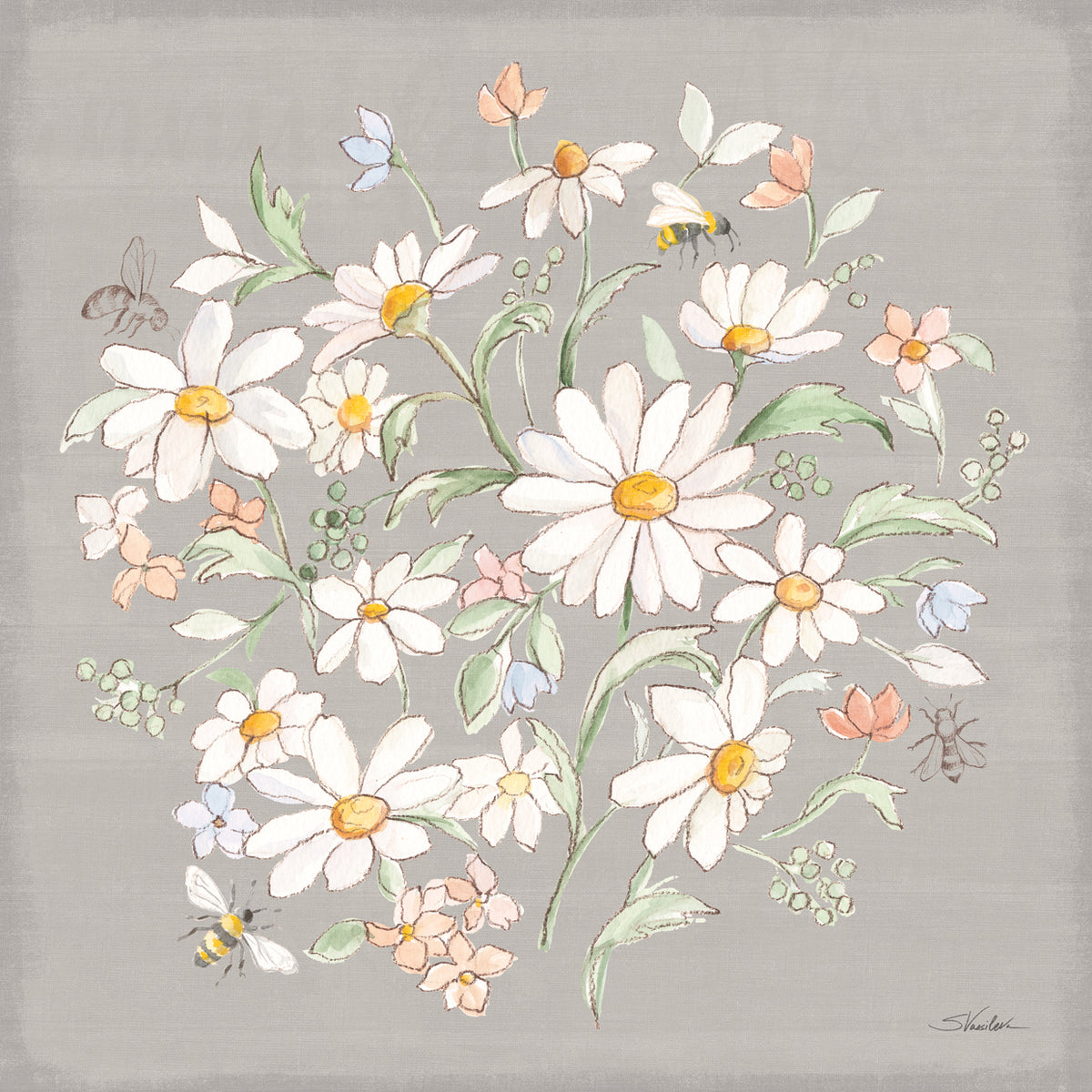 Daisy Field VI