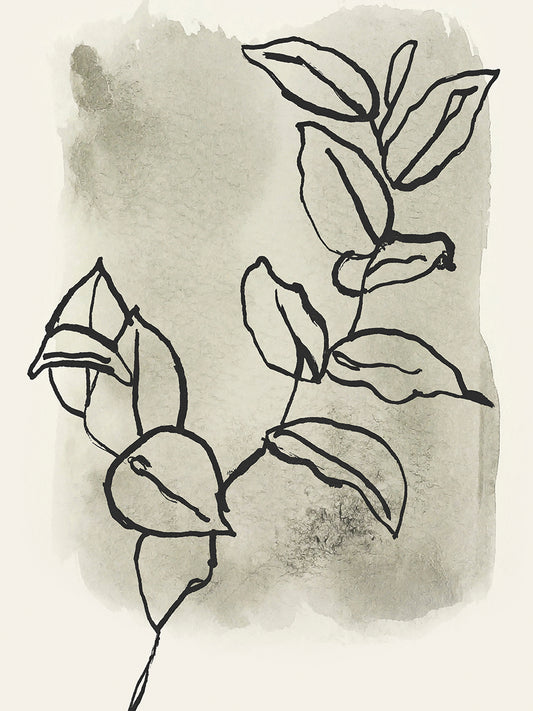 Branch Sketch Canvas Print