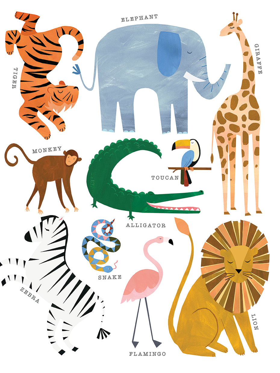 Animal Chart