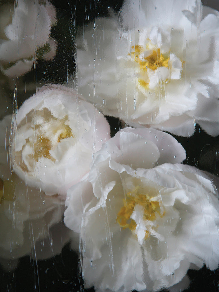 Paris Bloom - Market Flowers