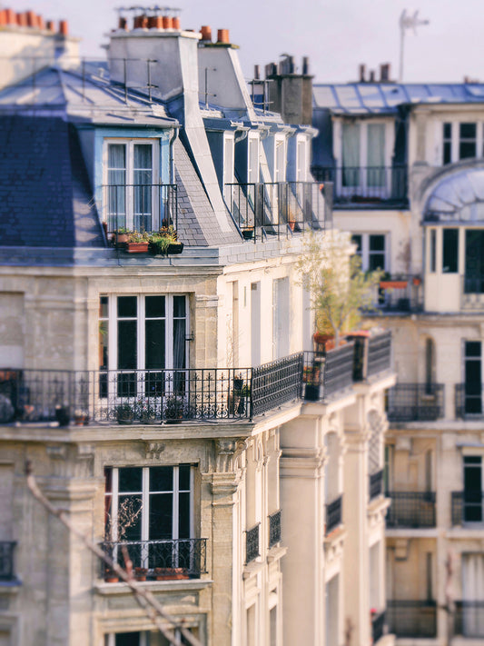 The Paris Apartment View Canvas Print