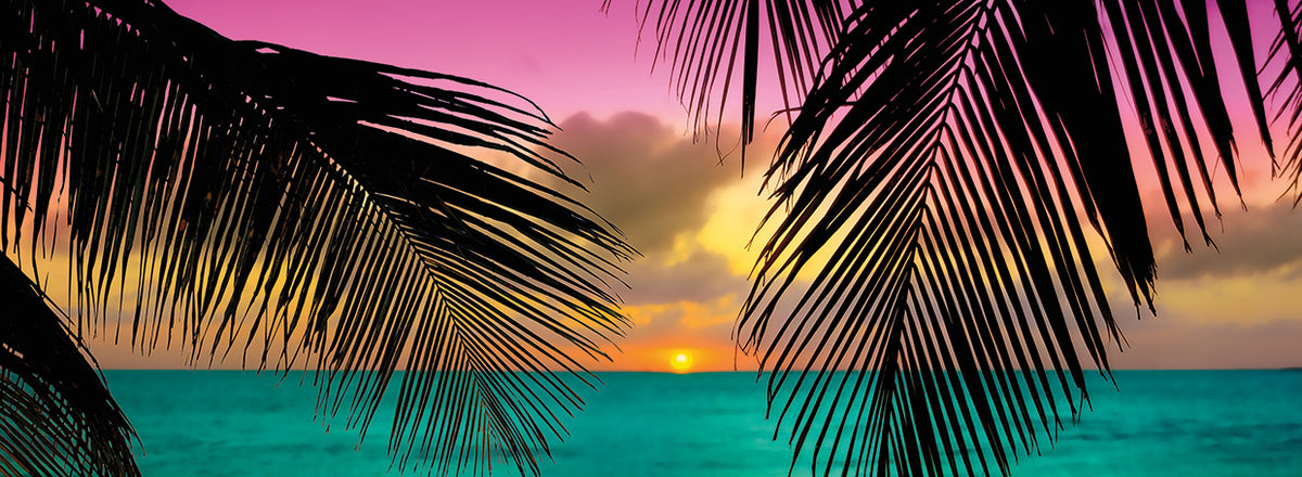 Sun Palms