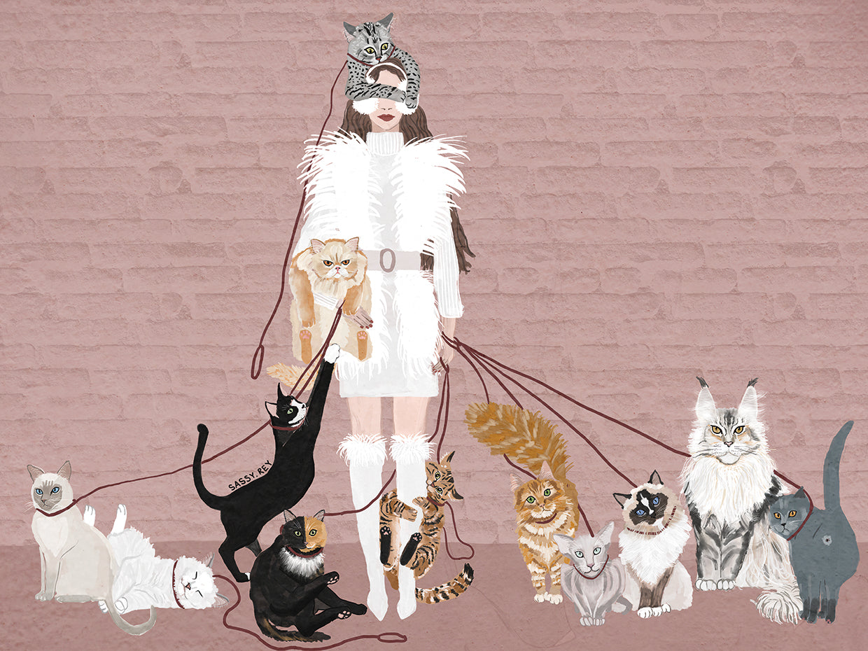 Cat Walker