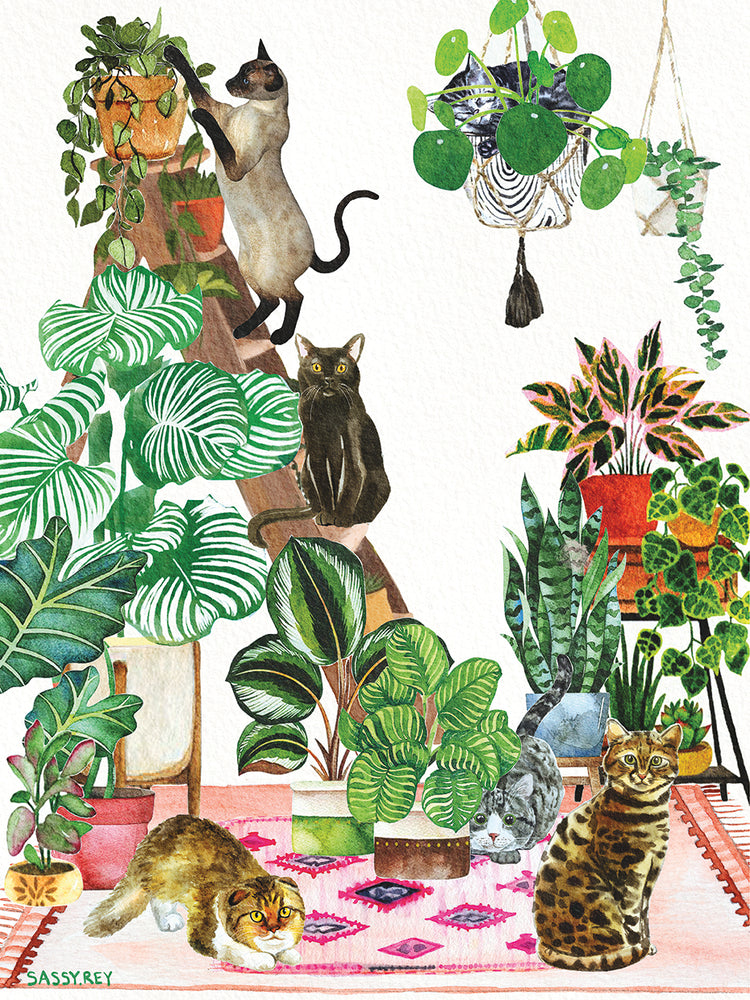 Cat Plant Mania