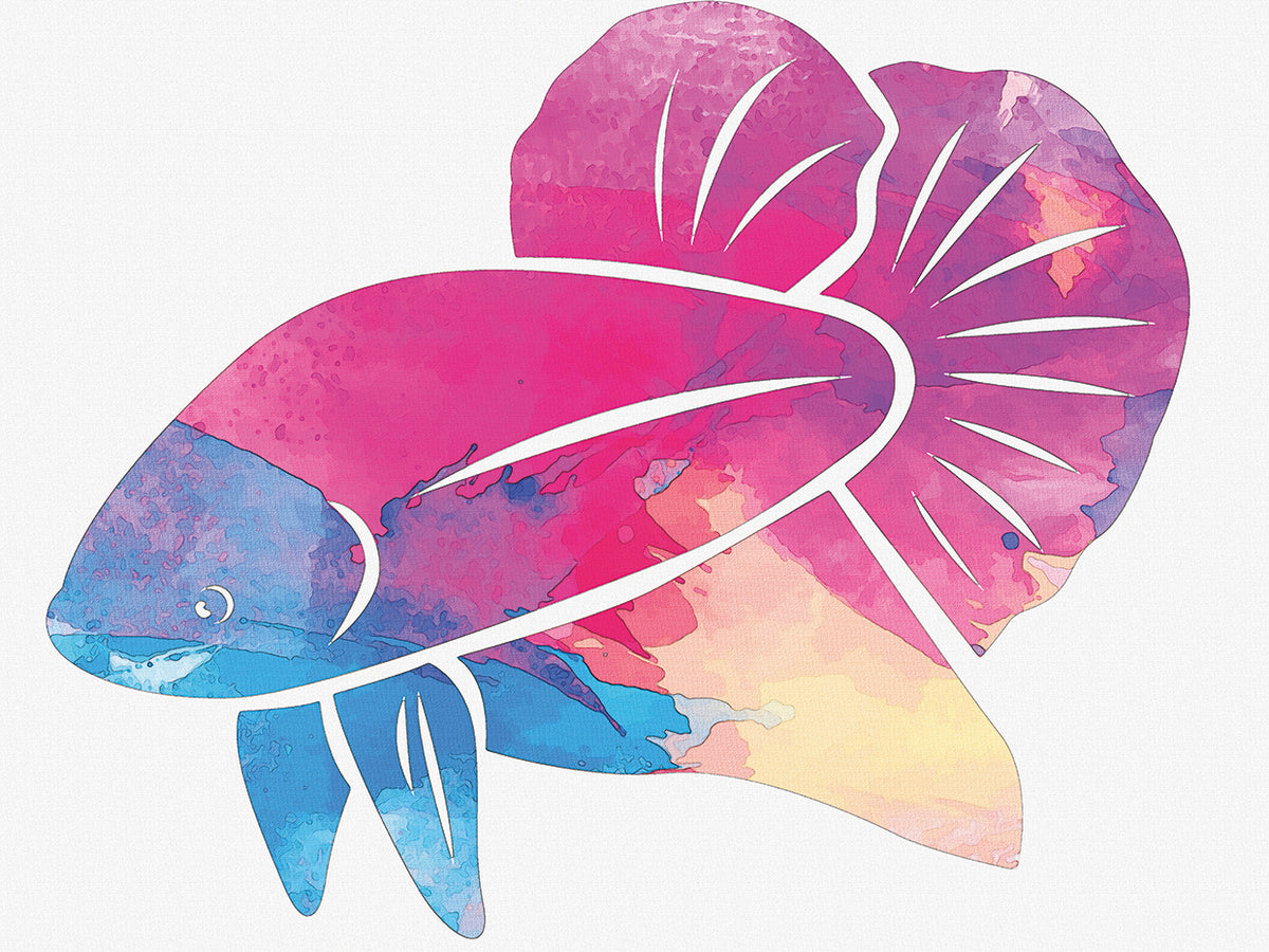 Betta Fish blue head