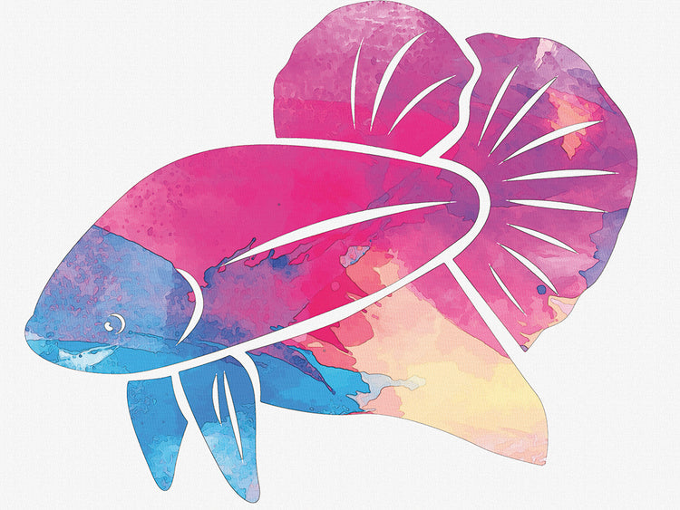 Betta Fish blue head