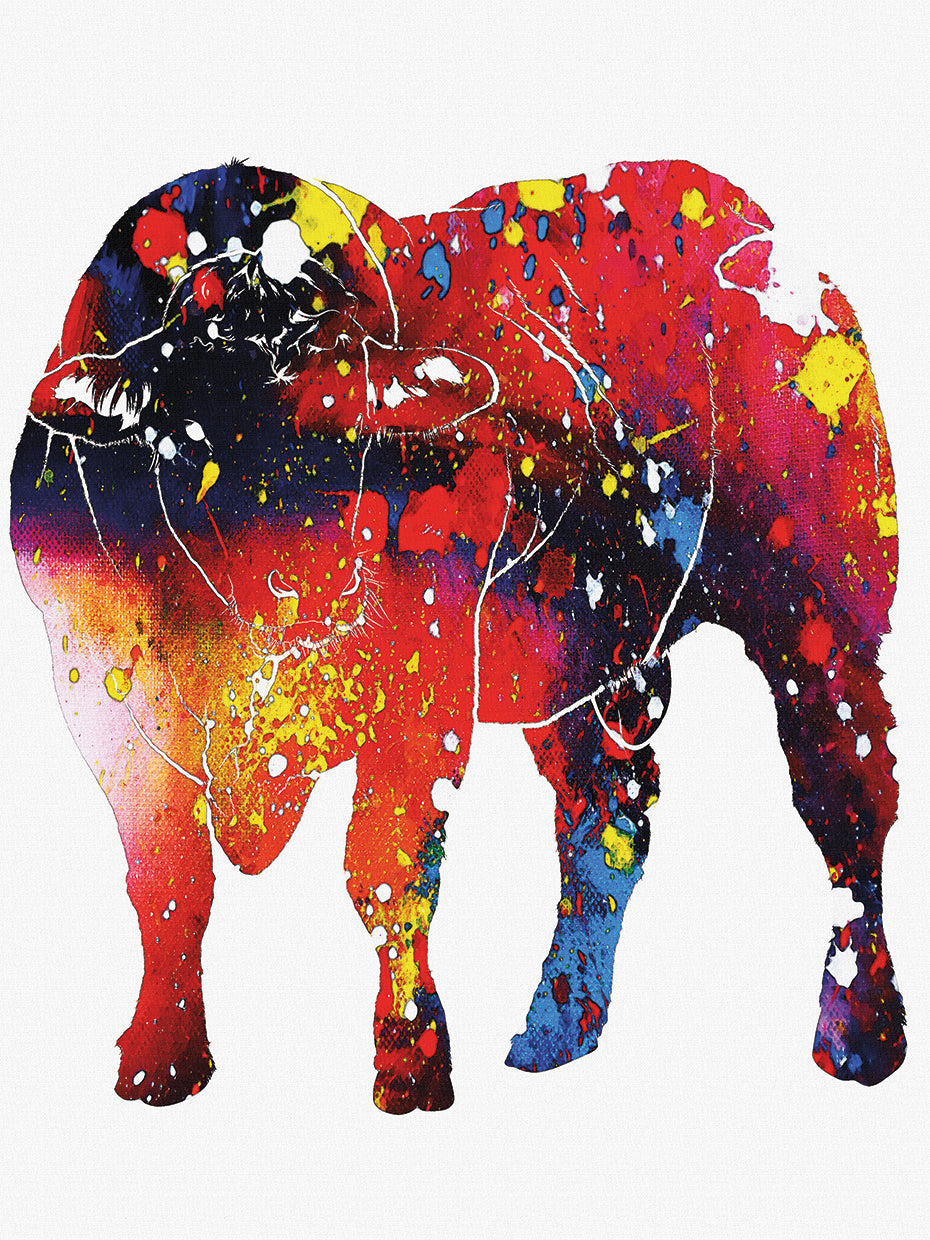 Bull