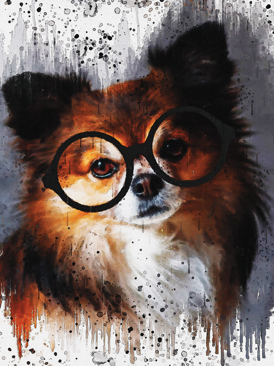 Chihuahua 1