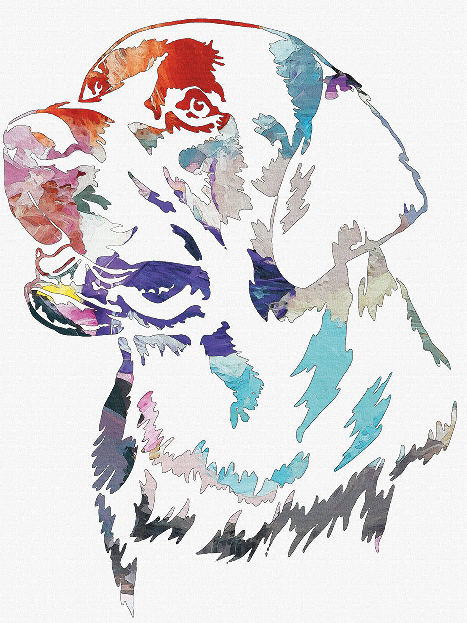 Dog's head
