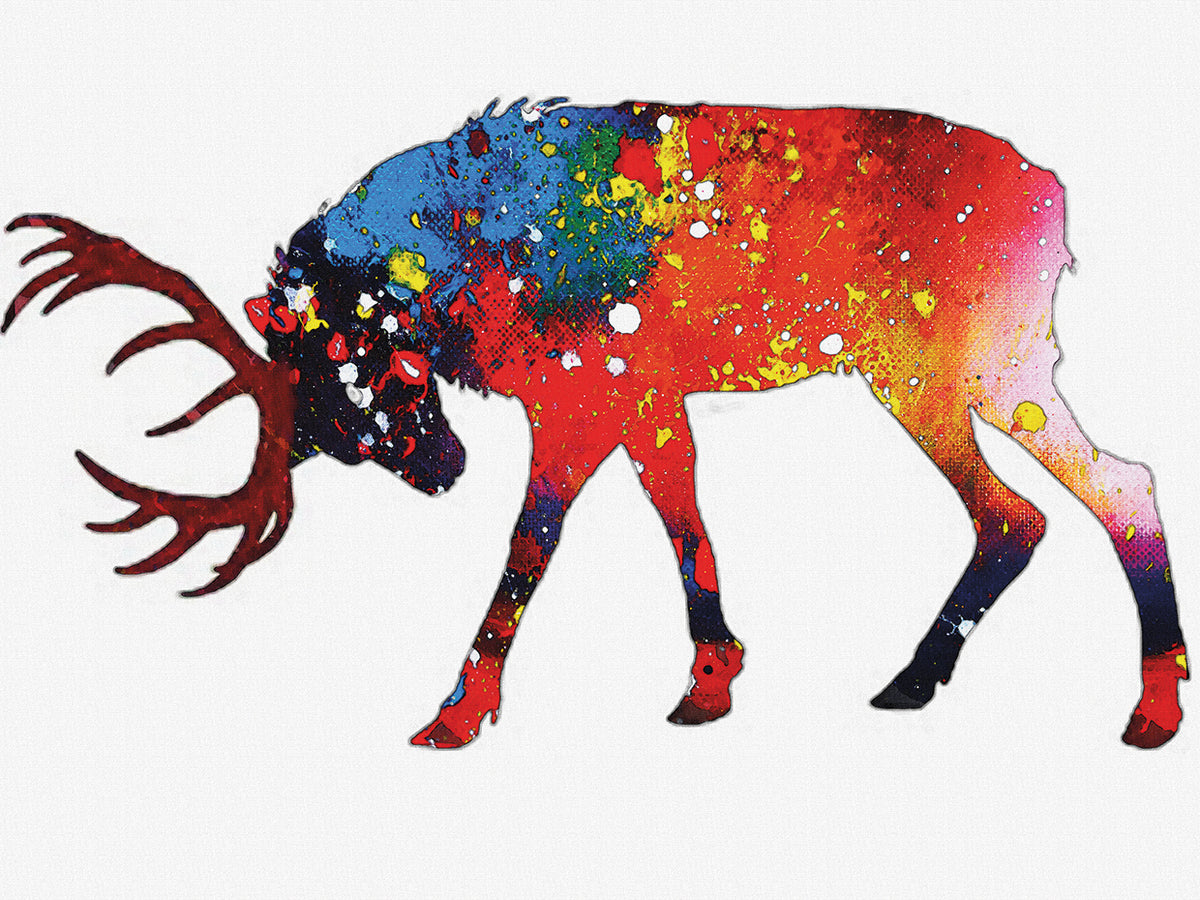 Elk - deer family