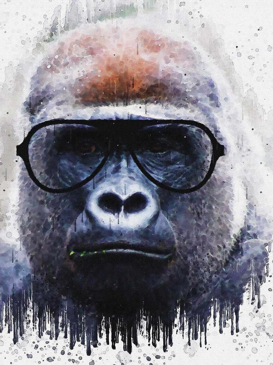 Gorilla 1