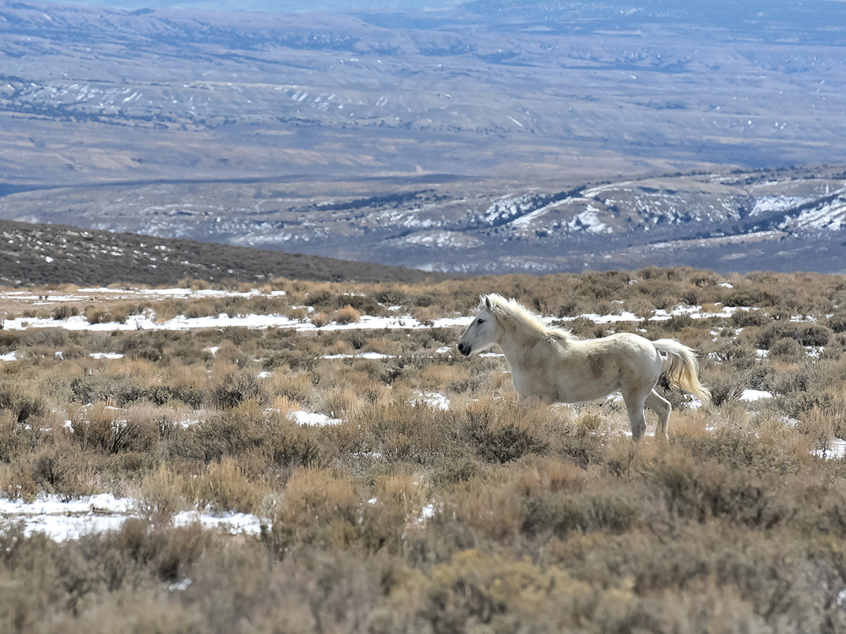 Open Range
