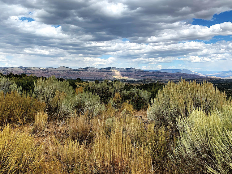 Desert Skies original