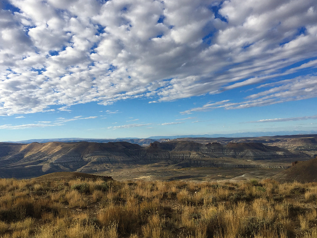Sweeping Skies