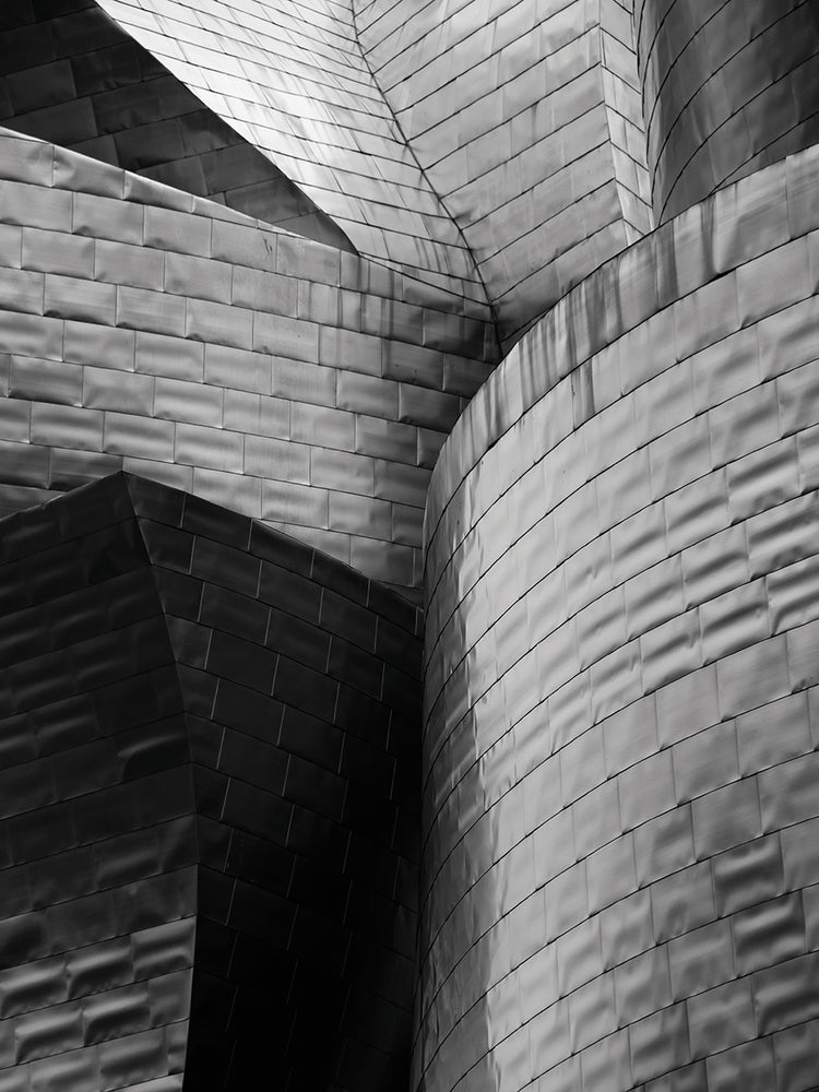 Architectural Wonder Contemporany E