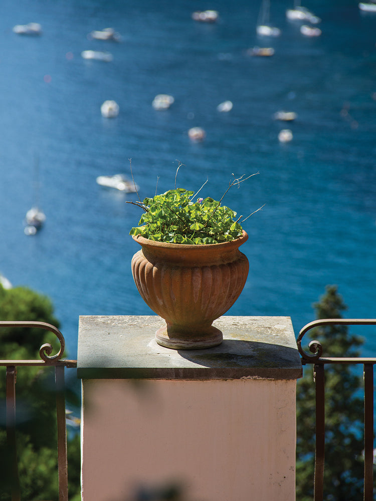 Dazzling Capri 1