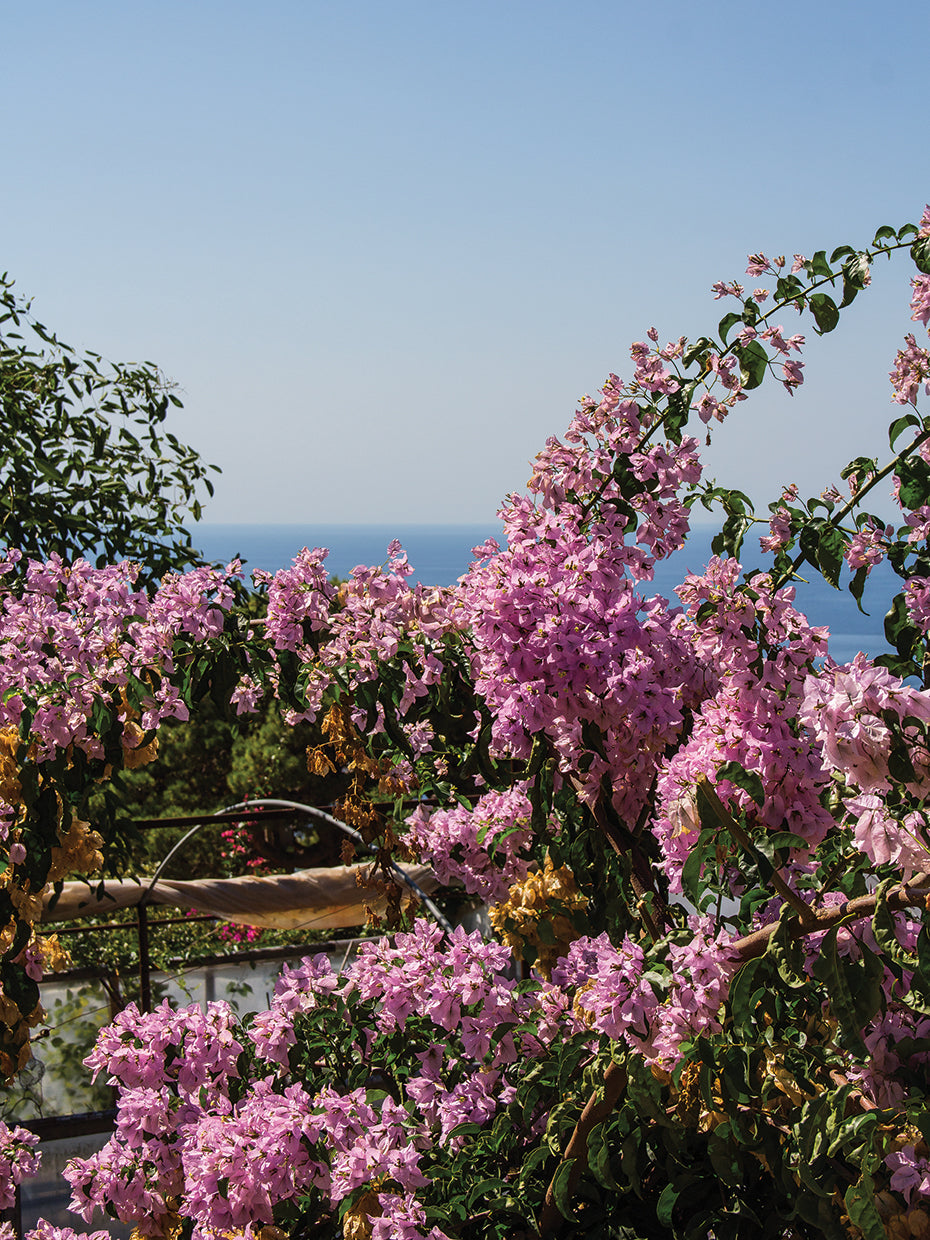 Dazzling Capri 3