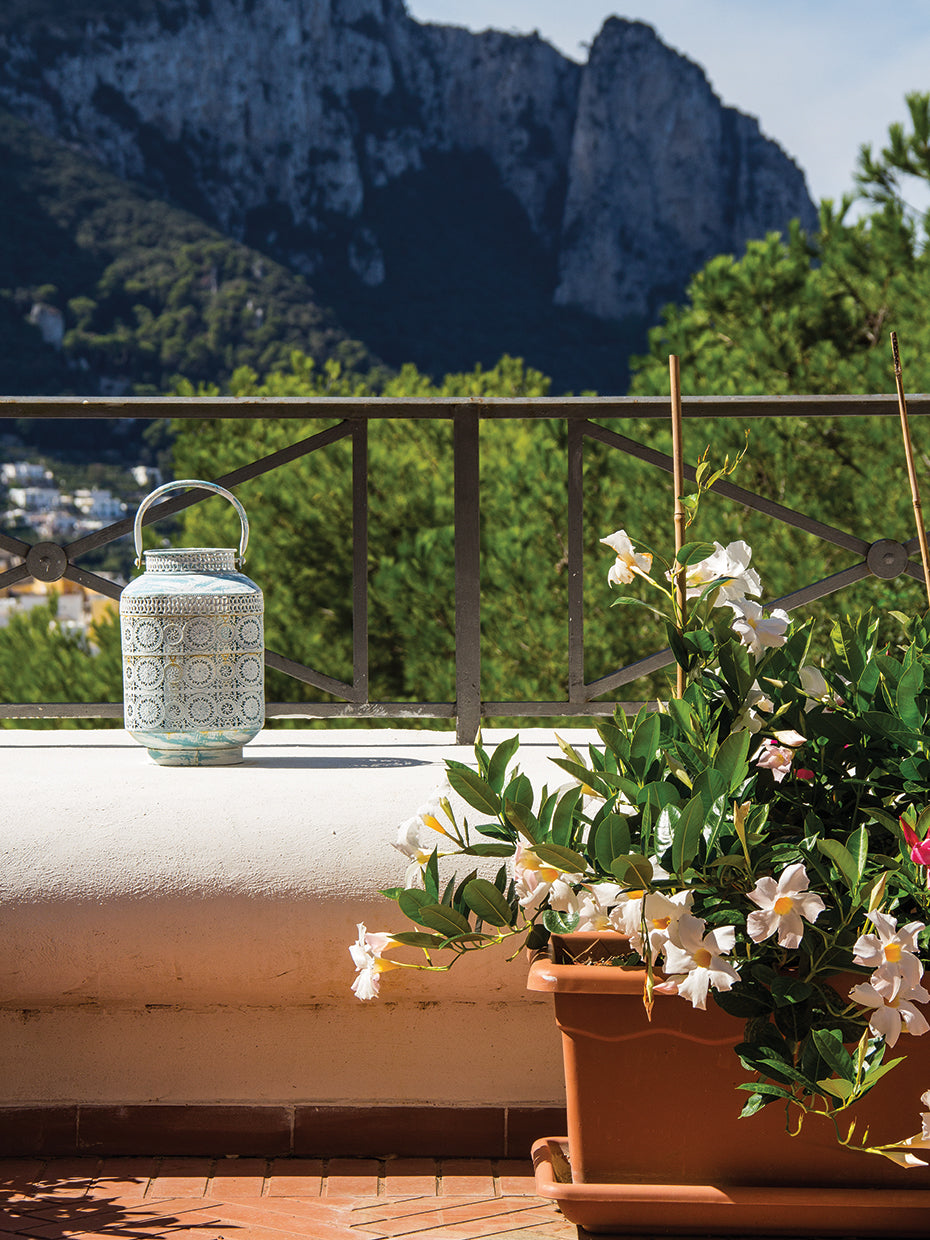 Dazzling Capri 10
