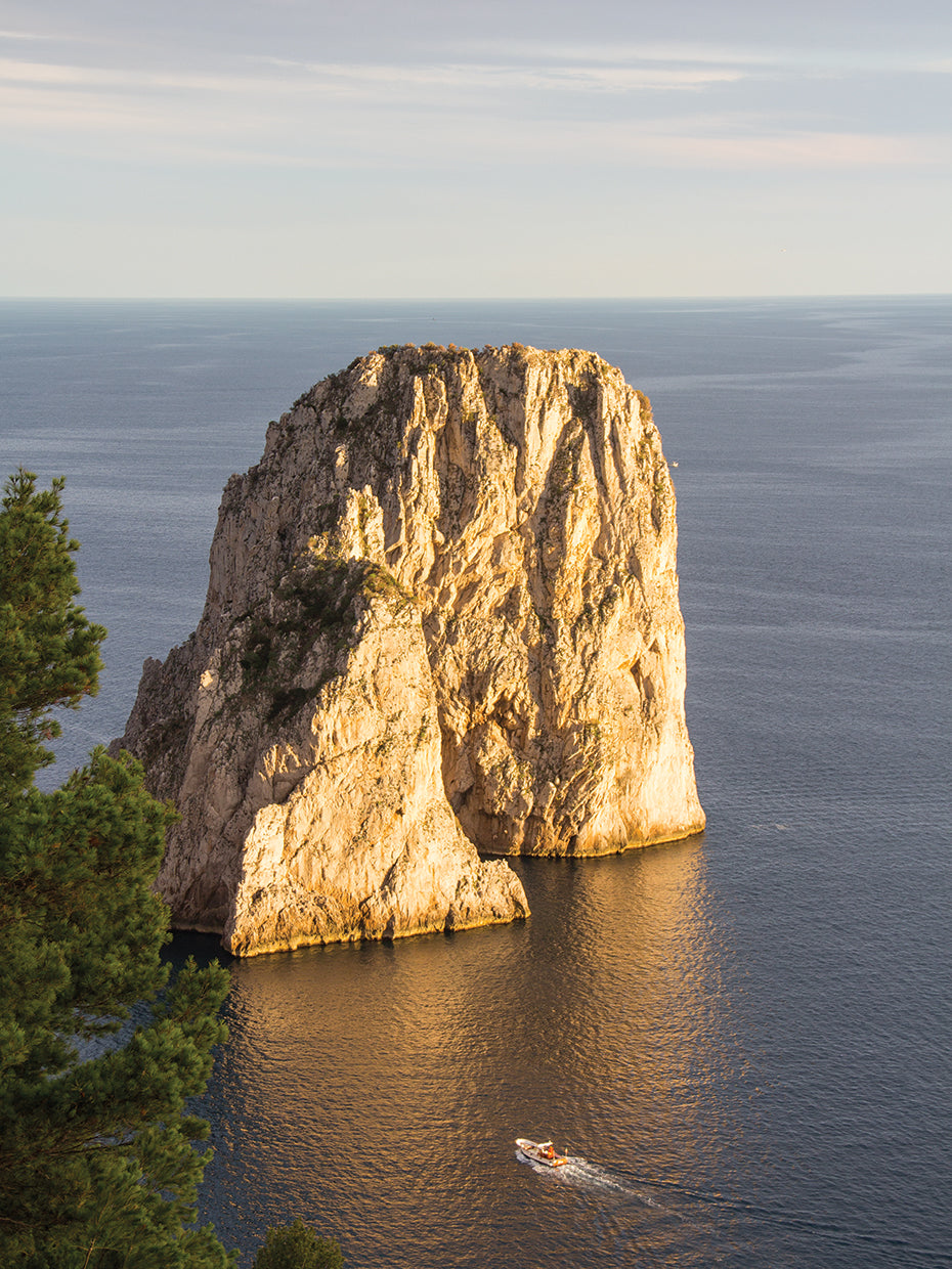 Dazzling Capri 15