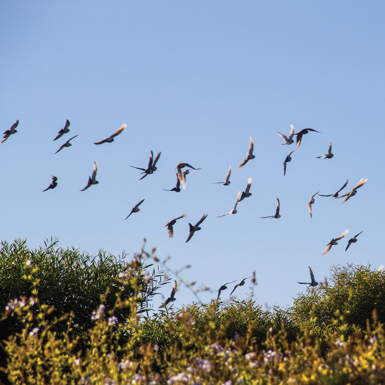 Summer In Portugal 3