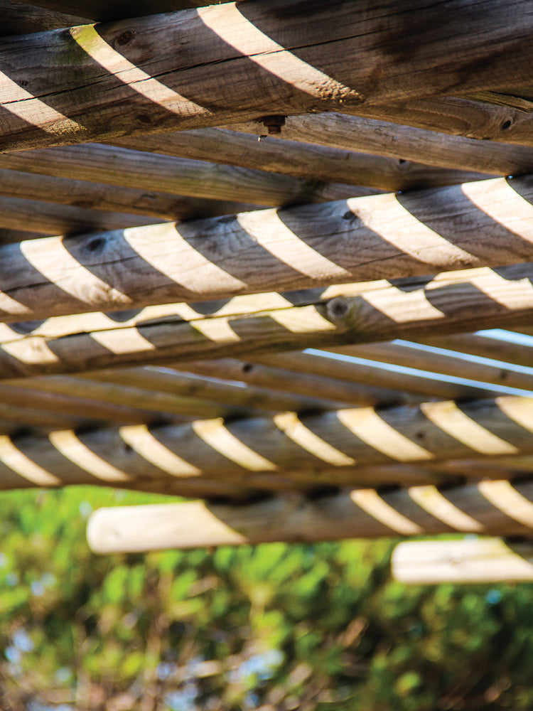 Summer In Portugal 5