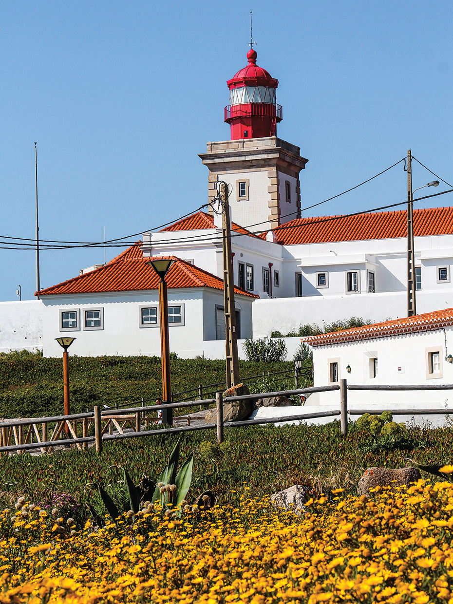 Summer In Portugal 13