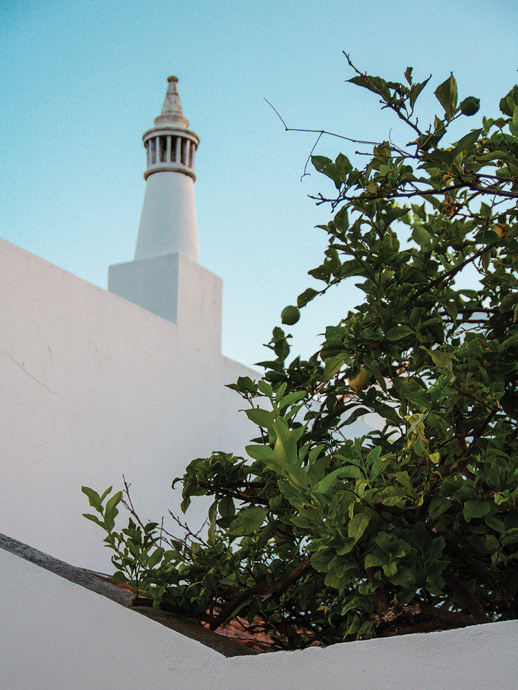 Summer In Portugal 15