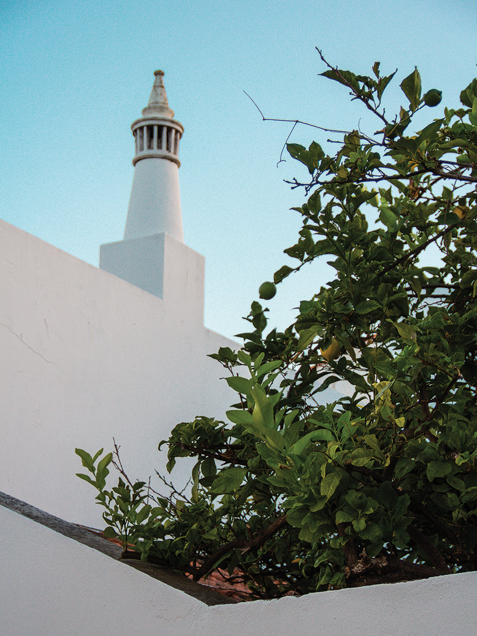 Summer In Portugal 15
