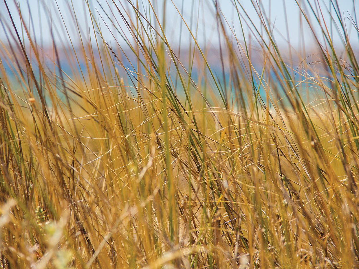 Summer In Portugal 25