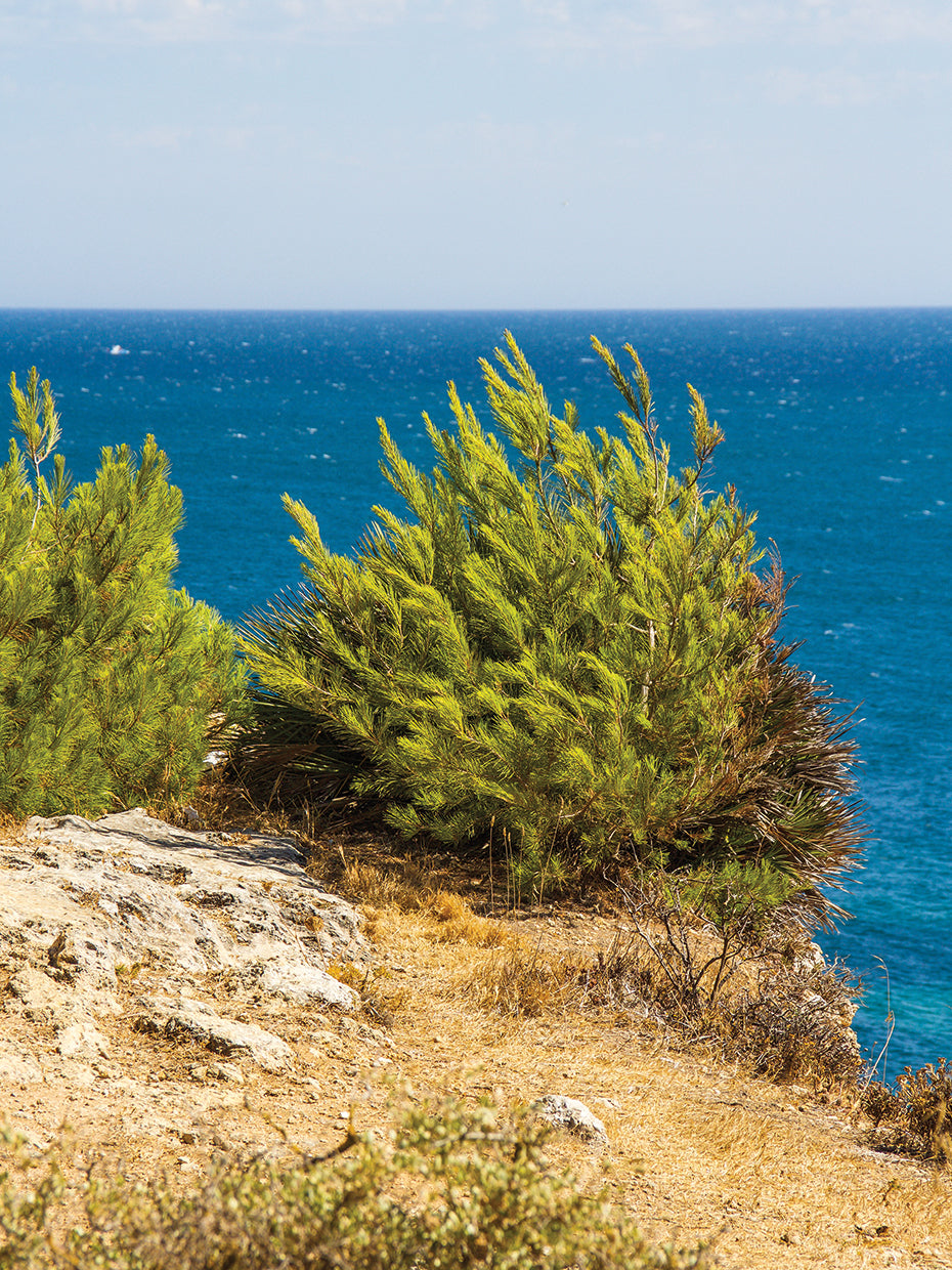 Summer In Portugal 26