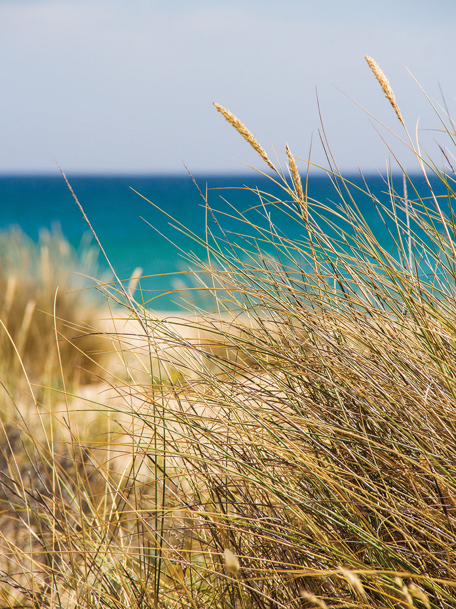 Summer In Portugal 31