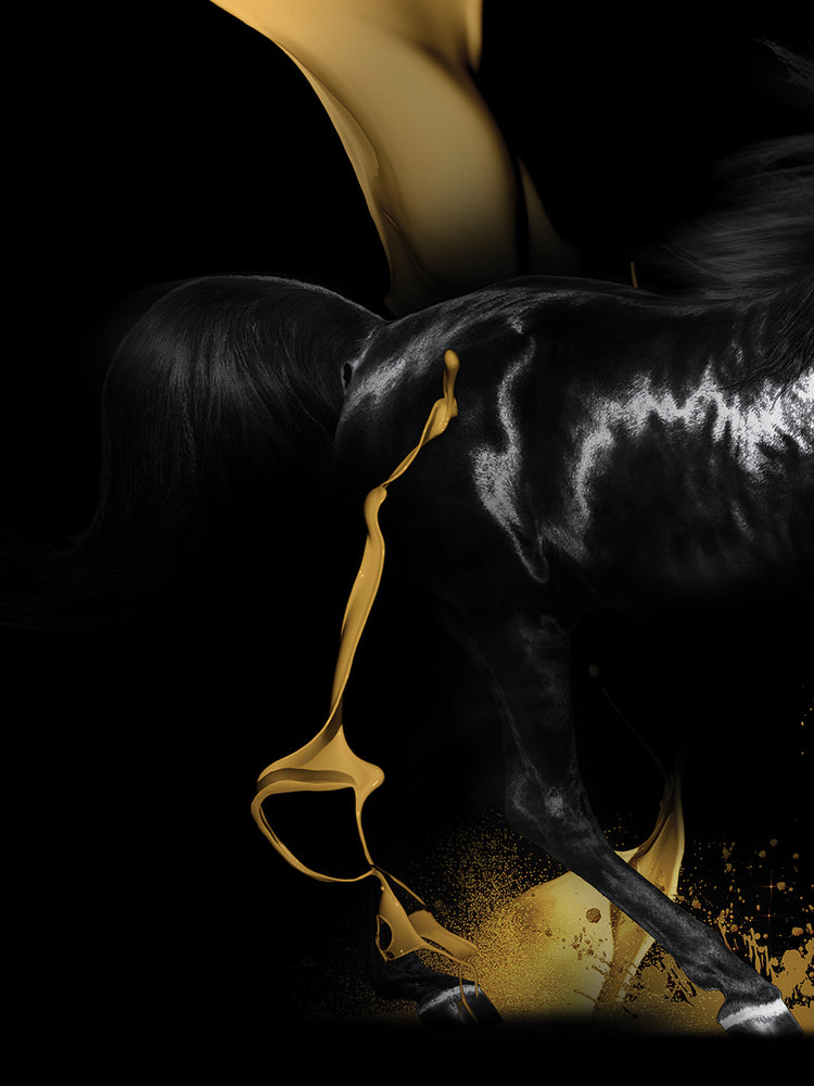 Fashion Dark Horse A