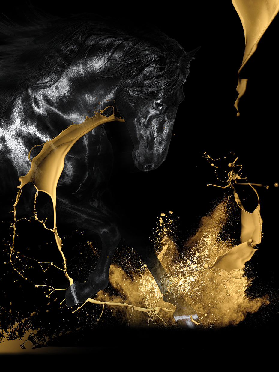 Fashion Dark Horse B