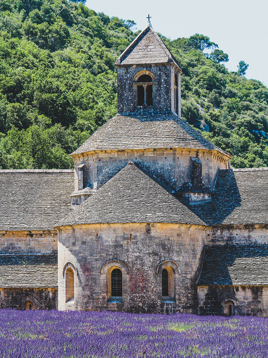 Backto Provence_Abbey 01