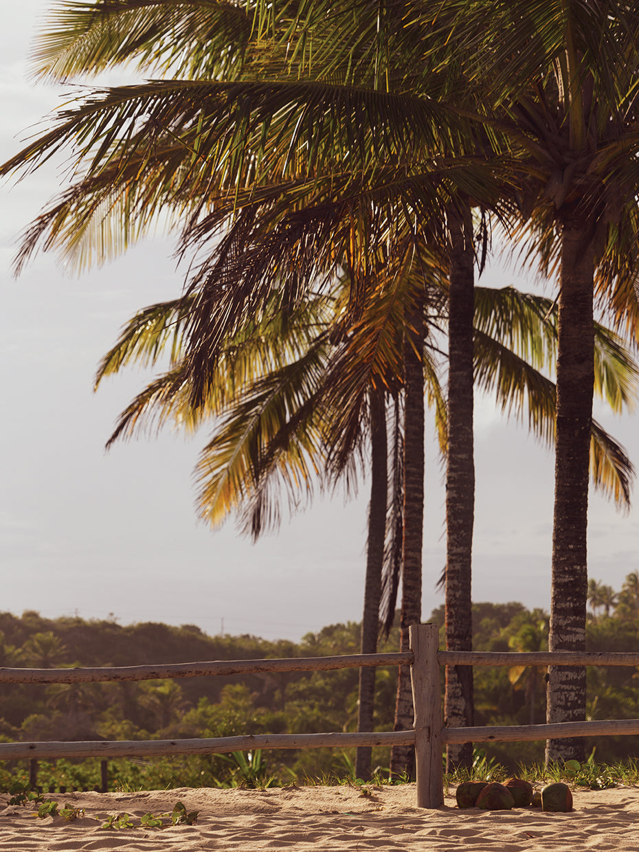 Caraiva 1
