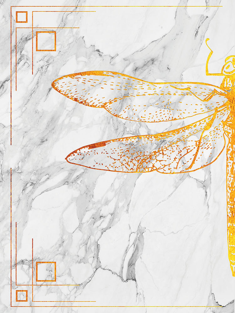 Fashion Dragon Fly A