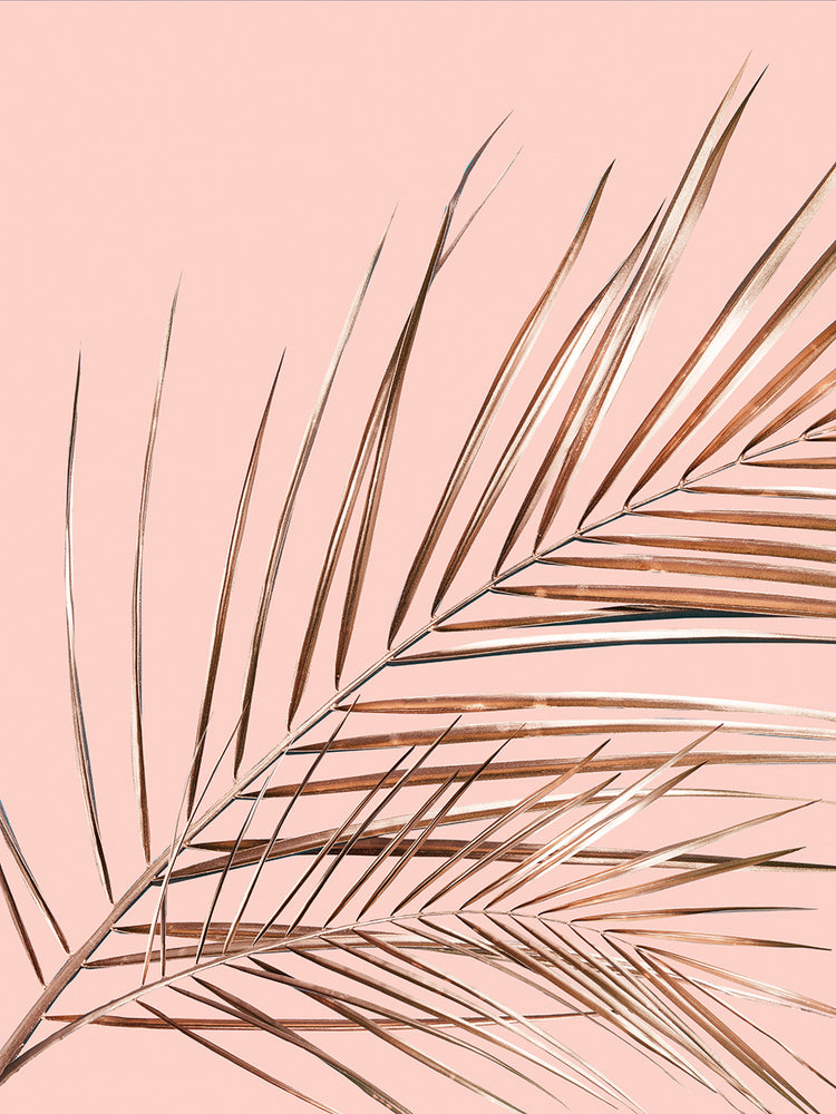 Fashion Rose Leaves Composition 2