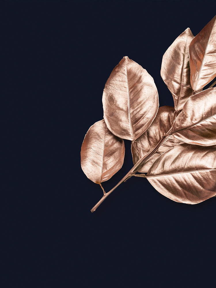 Fashion Rose Leaves Composition 3