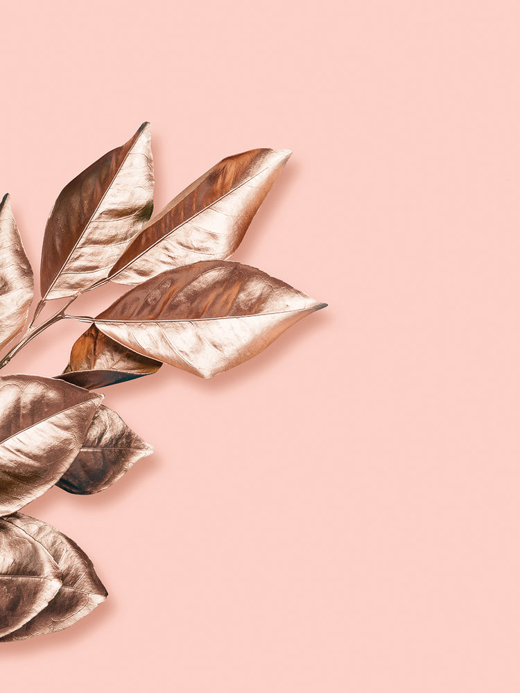 Fashion Rose Leaves Composition 4