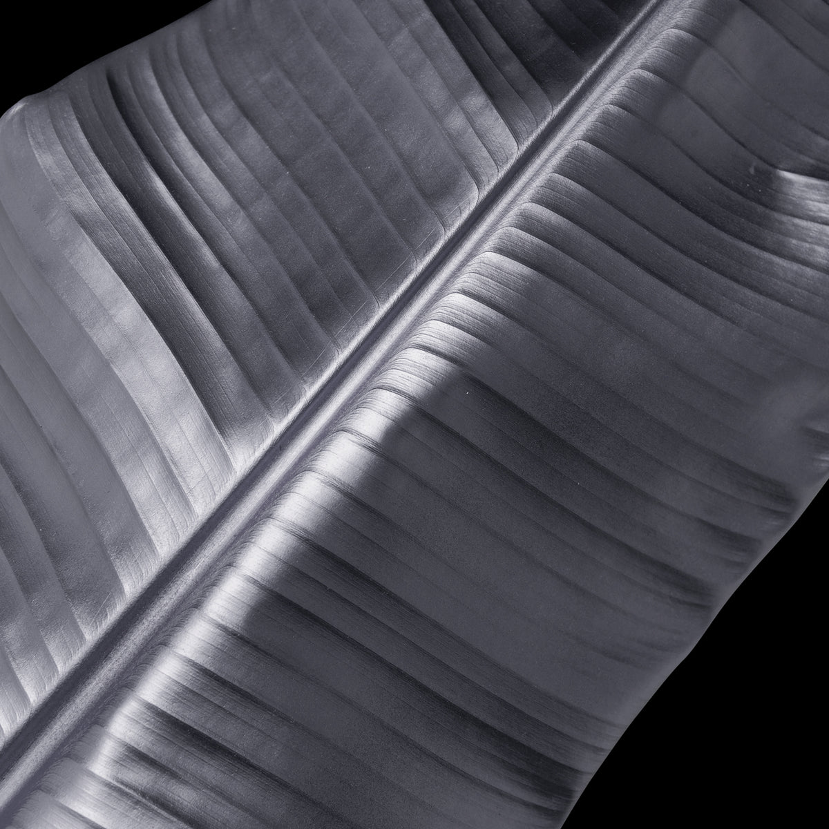 Silver Leaves 4