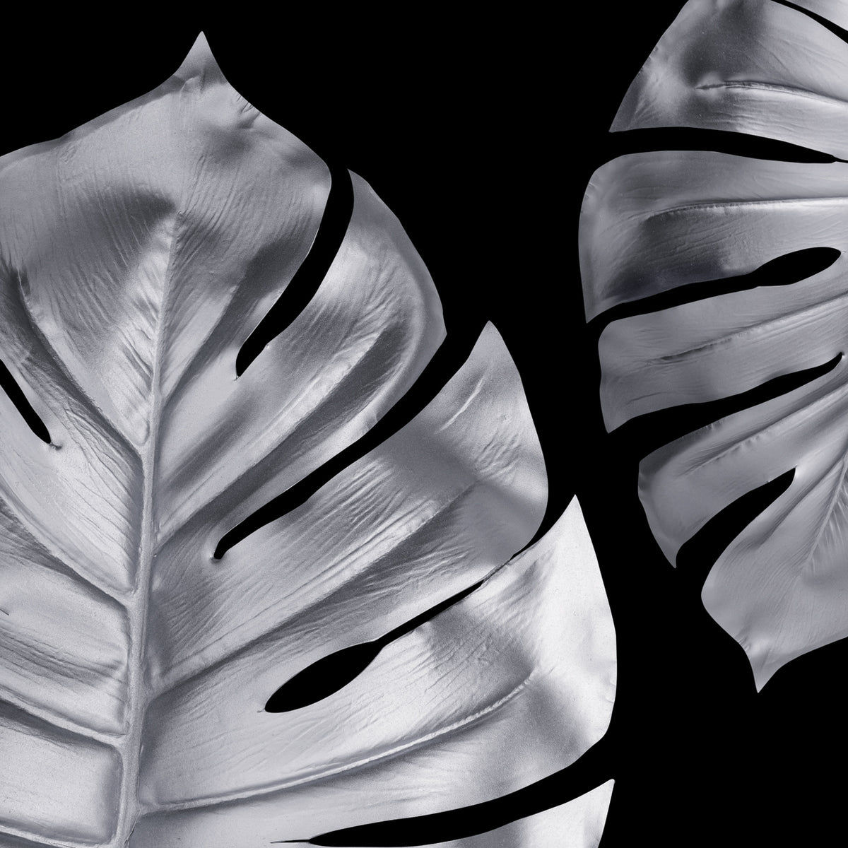 Silver Leaves 6