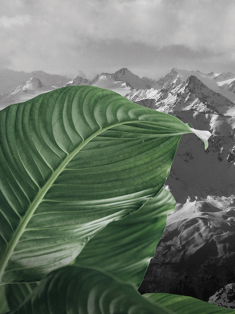 Fashion Nine Series 2