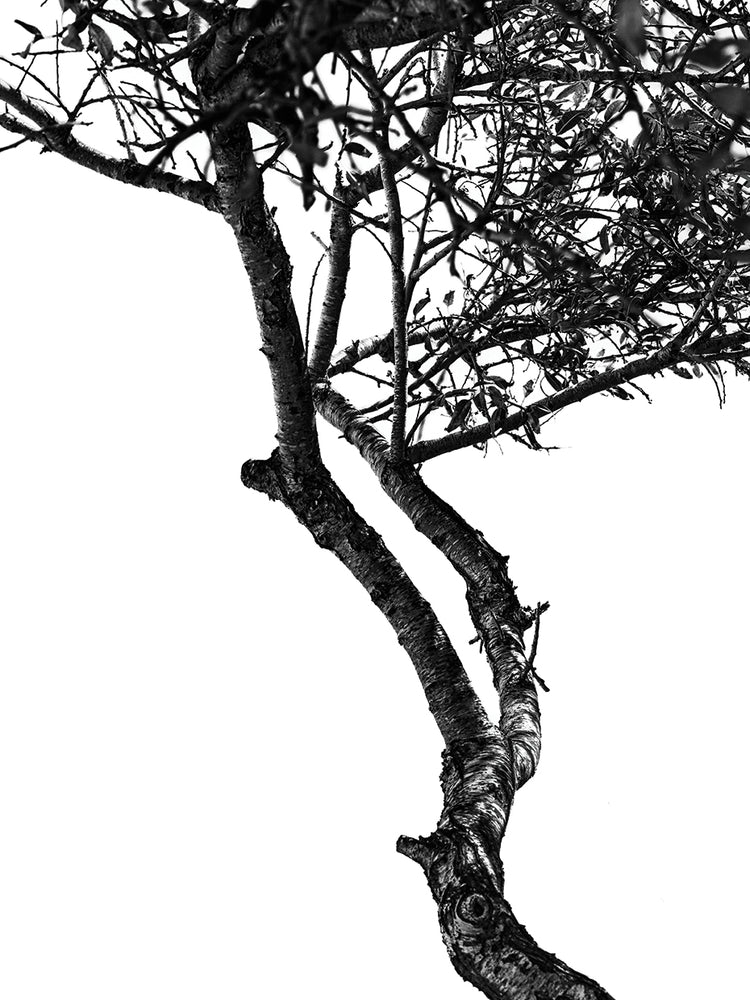Greece Black and White 17