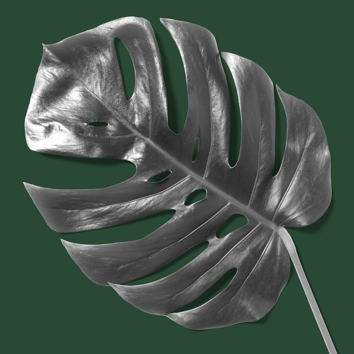 Greenish 2