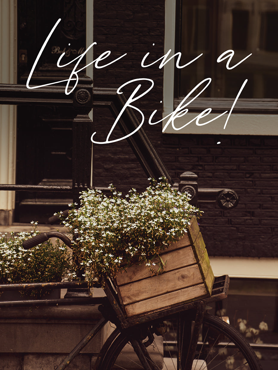 Life On A Bike 5