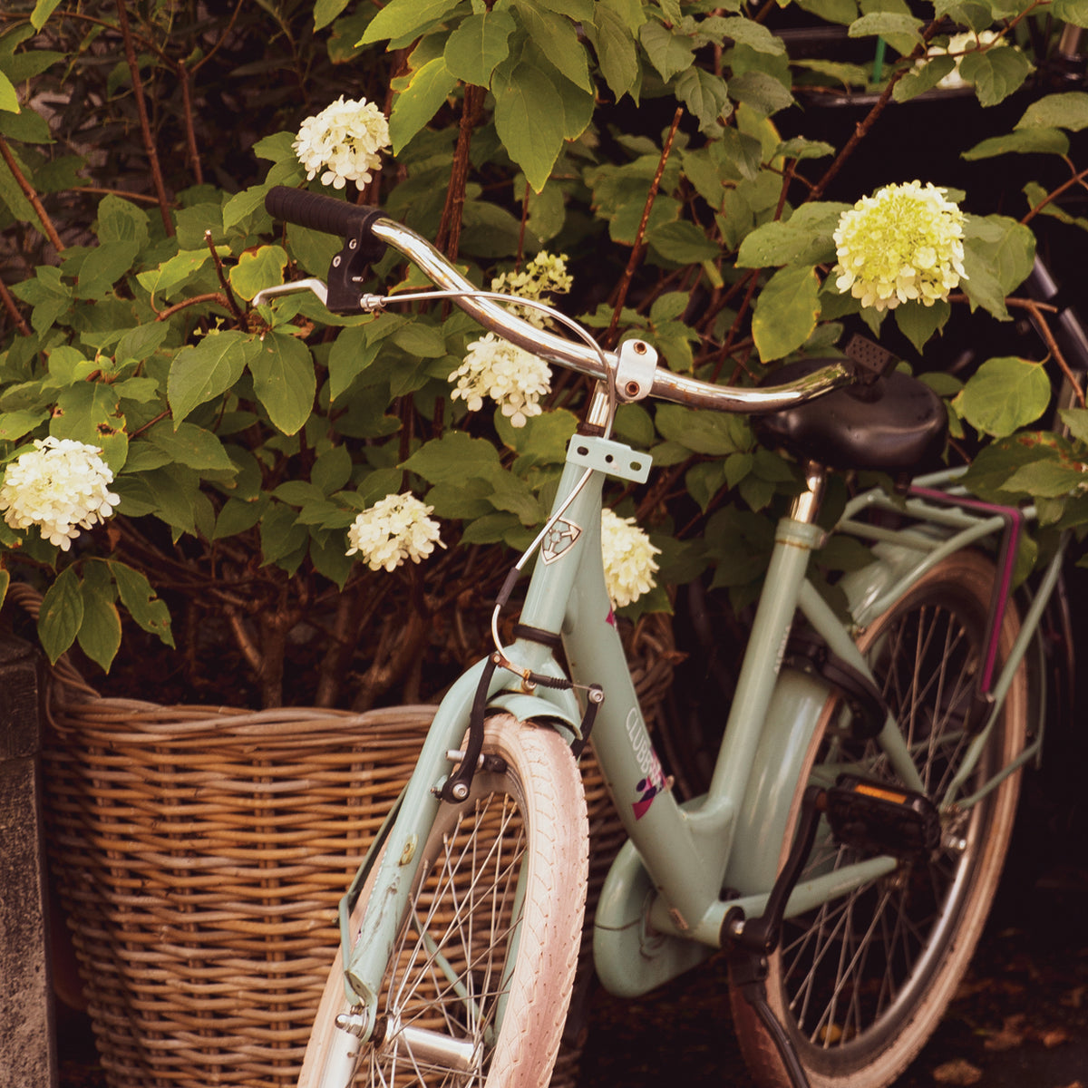 Life On A Bike 12
